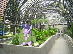 Size: 2048x1536 | Tagged: safe, artist:yinglung, twilight sparkle, pony, g4, bush, bushicorn, female, greenhouse, hong kong, irl, mare, photo, ponies in real life, twilight bushel, upset