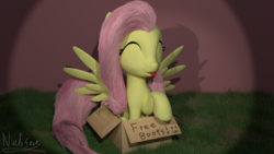 Size: 1920x1080 | Tagged: safe, artist:nebulafactory, fluttershy, pony, g4, 3d, blender, boop box, box, cute, flutterbox, grass, shyabetes