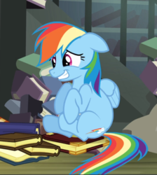 Size: 667x744 | Tagged: safe, screencap, rainbow dash, pegasus, pony, daring don't, g4, book, cropped, female, floppy ears, mare, nervous smile, sitting, teeth