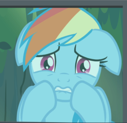 Size: 975x941 | Tagged: safe, screencap, rainbow dash, pegasus, pony, daring don't, g4, cropped, female, floppy ears, mare, raised hoof, scared, solo, worried
