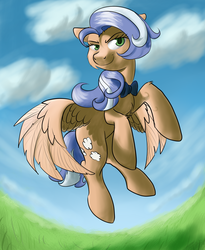 Size: 2700x3300 | Tagged: safe, artist:inersdraco, oc, oc only, oc:lina, pegasus, pony, bow, female, high res, mare, request, solo