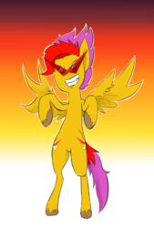 Size: 1045x1550 | Tagged: safe, artist:vinny, oc, oc only, pegasus, pony, both cutie marks, gradient background, kamina sunglasses, rearing, solo, two toned mane, two toned tail