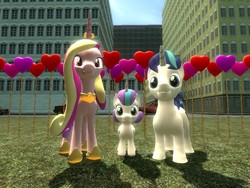 Size: 1024x768 | Tagged: safe, artist:sonic5421, princess cadance, princess flurry heart, shining armor, alicorn, pony, g4, 3d, balloon, gmod, hearts and hooves day, prince shining armor, race swap