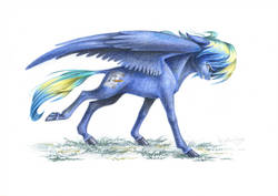 Size: 1024x727 | Tagged: safe, artist:skyaircobra, oc, oc only, oc:sky aircobra, pegasus, pony, solo