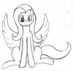 Size: 1100x1056 | Tagged: safe, artist:mfg637, fluttershy, pegasus, pony, g4, female, front view, looking at you, mare, sitting, sketch, solo, spread wings, traditional art, wings