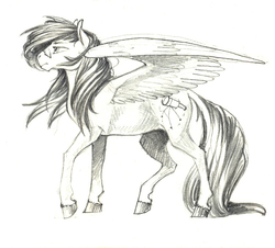 Size: 1011x912 | Tagged: safe, artist:skyaircobra, oc, oc only, unnamed oc, pegasus, pony, glasses, male, solo, stallion