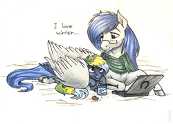 Size: 1433x1032 | Tagged: safe, artist:skyaircobra, oc, oc only, pegasus, pony, chocolate, computer, cookie, duo, food, hot chocolate, laptop computer, mug, wing blanket