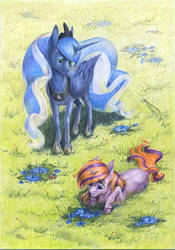 Size: 1024x1463 | Tagged: safe, artist:skyaircobra, princess luna, oc, alicorn, pony, unicorn, g4, duo, grass