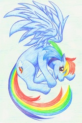 Size: 668x1000 | Tagged: safe, artist:mu-tsu, rainbow dash, pegasus, pony, g4, cutie mark, female, flying, long tail, looking at you, mare, open mouth, solo, spread wings, traditional art, wings