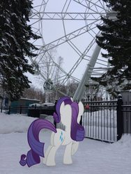 Size: 2448x3264 | Tagged: safe, artist:albertuha, rarity, pony, unicorn, g4, butt, female, ferris wheel, high res, irl, mare, photo, plot, ponies in real life, raised hoof, snow, solo, winter