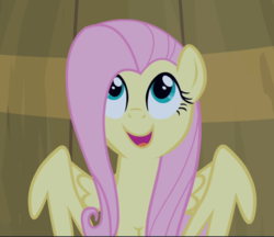 Size: 1087x940 | Tagged: safe, screencap, fluttershy, pegasus, pony, filli vanilli, g4, barrel, cropped, cute, female, flutterguy, happy, looking up, mare, open mouth, shyabetes, smiling, solo, wings