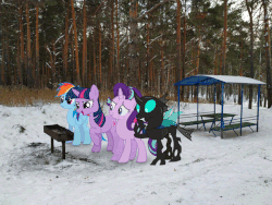 Size: 600x450 | Tagged: safe, artist:albertuha, edit, rainbow dash, starlight glimmer, thorax, twilight sparkle, changeling, pony, g4, 1000 years in photoshop, animated, confused, disguise, disguised changeling, evil starlight, evil twilight, gif, grill, irl, photo, ponies in real life, thinking, winter