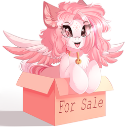 Size: 3840x3885 | Tagged: safe, artist:airiniblock, oc, oc only, oc:morning radiance, pegasus, pony, rcf community, behaving like a cat, bell, bell collar, box, collar, colored wings, colored wingtips, cute, high res, ocbetes, pony in a box, smiling, solo, spread wings, wings