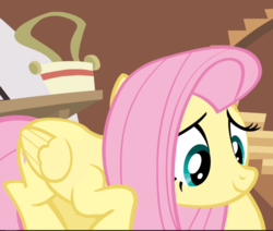 Size: 1110x941 | Tagged: safe, screencap, fluttershy, pegasus, pony, g4, it ain't easy being breezies, cropped, crouching, cute, female, mare, shyabetes, smiling, solo