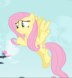 Size: 872x939 | Tagged: safe, screencap, fluttershy, seabreeze, breezie, pegasus, pony, g4, it ain't easy being breezies, cropped, female, flying, male, mare, shrug, smiling
