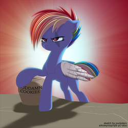 Size: 2940x2940 | Tagged: safe, artist:pucksterv, artist:styroponyworks, rainbow dash, pegasus, pony, g4, alternate timeline, amputee, apocalypse dash, augmented, collaboration, cookie, cookie jar, crystal war timeline, eye scar, female, food, high res, prosthetic limb, prosthetic wing, prosthetics, scar, solo, text, torn ear