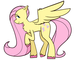 Size: 877x711 | Tagged: safe, artist:art-tart-taffyness, fluttershy, pegasus, pony, g4, chest fluff, colored hooves, cute, ear fluff, female, mare, profile, shyabetes, simple background, solo, unshorn fetlocks, white background, wing fluff