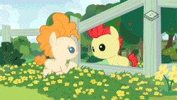 Size: 500x283 | Tagged: safe, screencap, bright mac, pear butter, earth pony, pony, g4, season 7, the perfect pear, animated, baby, baby pony, boomerang (tv channel), brightabetes, colt, cute, eyes closed, female, filly, flower, foal, gif, happy, hoofshake, male, open mouth, pearabetes, ship:brightbutter, shipping, straight, sweet dreams fuel, weapons-grade cute