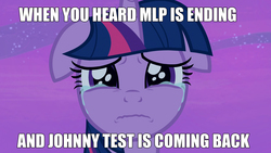 Size: 1920x1080 | Tagged: safe, edit, edited screencap, screencap, twilight sparkle, alicorn, pony, g4, once upon a zeppelin, alicorn drama, caption, crying, drama, end of ponies, fangirl, female, floppy ears, image macro, implied season 9, in-universe pegasister, johnny test, op is a duck, solo, take that, text, twilight sparkle (alicorn)