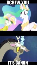 Size: 498x874 | Tagged: safe, edit, edited screencap, screencap, discord, princess celestia, alicorn, draconequus, pony, g4, season 4, twilight's kingdom, :o, bait, bouquet, caption, derail in the comments, fangs, female, flower, funny, funny as hell, image macro, looking at something, male, mare, meme, one eye closed, open mouth, otp, ship:dislestia, shipping, shipping war in the comments, smiling, straight, surprised, text, wide eyes, wink