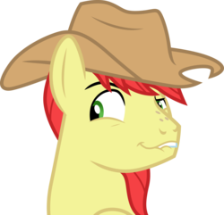 Size: 3110x3000 | Tagged: safe, artist:cloudy glow, bright mac, earth pony, pony, g4, the perfect pear, .ai available, cowboy hat, hat, high res, male, simple background, smiling, smirk, solo, stallion, stetson, transparent background, vector
