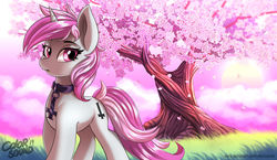Size: 1600x928 | Tagged: safe, artist:ask-colorsound, oc, oc only, oc:blossom, pony, unicorn, cherry blossoms, cherry tree, cross, female, flower, flower blossom, intertwined trees, inverted cross, mare, solo, tree