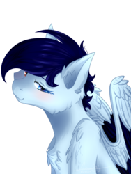 Size: 854x1135 | Tagged: safe, artist:enghelkitten, oc, oc only, pegasus, pony, female, heterochromia, mare, simple background, solo, transparent background