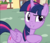 Size: 1104x939 | Tagged: safe, screencap, twilight sparkle, alicorn, pony, g4, my little pony: friendship is magic, testing testing 1-2-3, cropped, female, hoof on chest, mare, raised eyebrow, smiling, solo, twilight sparkle (alicorn)