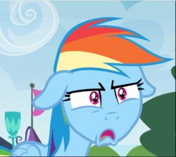 Size: 1051x943 | Tagged: safe, screencap, rainbow dash, pegasus, pony, g4, trade ya!, cropped, disappointed, faic, female, floppy ears, mare, narrowed eyes, open mouth, solo