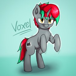 Size: 2030x2030 | Tagged: safe, oc, oc only, oc:voxel, pony, unicorn, high res, male, simple background, solo, stallion, text