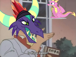 Size: 500x375 | Tagged: safe, edit, gaius, scales (g4), g4, dragon crown, dragon lord, is this a pigeon, meme, text