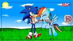 Size: 1280x720 | Tagged: safe, rainbow dash, g4, amy rose, crossover, male, sonic the hedgehog, sonic the hedgehog (series)