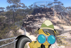 Size: 1280x858 | Tagged: safe, artist:didgereethebrony, daring do, pony, g4, binoculars, blue mountains, didgeree collection, irl, mlp in australia, photo, ponies in real life, solo