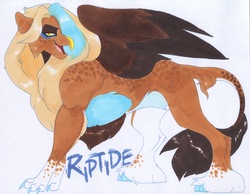 Size: 3780x2928 | Tagged: safe, artist:frozensoulpony, oc, oc only, oc:riptide, classical hippogriff, hippogriff, hybrid, cloven hooves, colored claws, colored hooves, high res, interspecies offspring, male, mane, marker drawing, offspring, parent:gilda, parent:soarin', parents:gildin', solo, traditional art, unshorn fetlocks