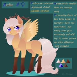 Size: 3000x3000 | Tagged: safe, artist:timser_, oc, oc only, oc:antler pone, pony, antlers, clothes, female, high res, reference sheet, socks, solo, wings