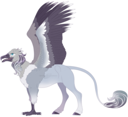 Size: 1278x1177 | Tagged: safe, artist:bijutsuyoukai, oc, oc only, oc:antiquorum, classical hippogriff, hippogriff, crack ship offspring, hippogriff oc, magical gay spawn, offspring, parent:grampa gruff, parent:star swirl the bearded, simple background, solo, spread wings, transparent background, wings
