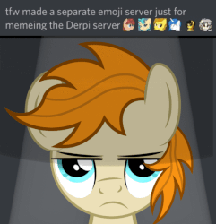 Size: 588x611 | Tagged: safe, artist:pizzamovies, oc, oc only, oc:pizzamovies, pony, animated, annoyed, blinking, discord (program), male, simple background, solo, stallion, text