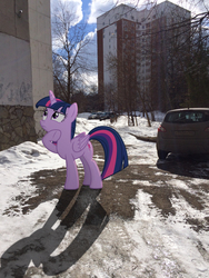 Size: 2448x3264 | Tagged: safe, artist:albertuha, twilight sparkle, alicorn, pony, g4, female, frown, high res, irl, mare, photo, ponies in real life, raised hoof, snow, solo, twilight sparkle (alicorn), winter