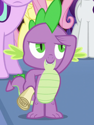 Size: 541x720 | Tagged: safe, screencap, fluttershy, rarity, spike, starlight glimmer, dragon, pegasus, pony, unicorn, season 6, the crystalling, baby, baby dragon, claws, cropped, crystal empire, female, male, mare, offscreen character, salute, scroll, smiling, tail