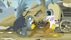 Size: 980x551 | Tagged: safe, screencap, gabby, gilda, griffon, g4, the fault in our cutie marks, animated, cute, excited, female, gabbybetes, gif