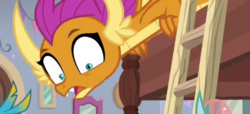 Size: 711x325 | Tagged: safe, screencap, gallus, ocellus, smolder, dragon, griffon, g4, school raze, cropped, dragoness, female, open mouth, wide eyes