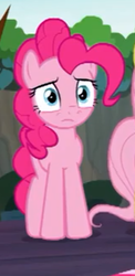 Size: 160x328 | Tagged: safe, screencap, fluttershy, pinkie pie, earth pony, pony, g4, season 9, the beginning of the end, cropped, female, mare, offscreen character, sad, solo focus, when she doesn't smile