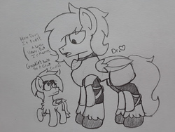 Size: 2576x1932 | Tagged: safe, artist:drheartdoodles, oc, oc:dr.heart, oc:emerald beats, clydesdale, pegasus, pony, armor, dialogue, guard, knee pads, looking down, size difference