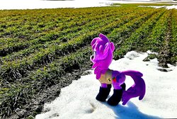 Size: 1973x1322 | Tagged: safe, artist:hihin1993, berry punch, berryshine, earth pony, pony, g4, crops, farm, irl, japan, photo, plushie, snow, solo, spring