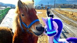 Size: 2168x1220 | Tagged: safe, artist:hihin1993, starlight glimmer, horse, pony, g4, boop, farm, horse-pony interaction, irl, irl horse, irl pony, japan, photo, plushie, translated in the comments