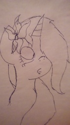 Size: 3264x1836 | Tagged: safe, artist:captain_lucky_day, pony, traditional art
