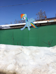 Size: 2448x3264 | Tagged: safe, artist:albertuha, rainbow dash, pegasus, pony, g4, female, garage, high res, irl, mare, photo, ponies in real life, sitting, snow, solo, winter