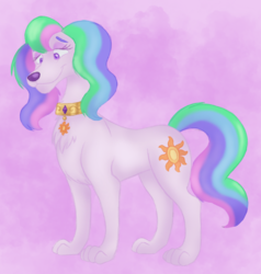 Size: 1585x1668 | Tagged: safe, artist:itoruna-the-platypus, princess celestia, dog, g4, collar, dogified, female, multicolored hair, smiling, solo, species swap, sunmutt