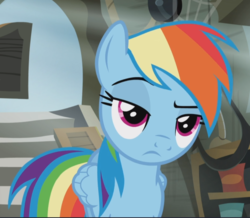 Size: 1027x896 | Tagged: safe, screencap, rainbow dash, pegasus, pony, g4, the lost treasure of griffonstone, are you kidding me, cropped, displeased, female, folded wings, frown, griffonstone, lidded eyes, looking at someone, magenta eyes, mare, multicolored mane, multicolored tail, narrowed eyes, rainbow dash is not amused, raised eyebrow, shop, solo, unamused