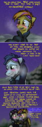 Size: 800x2377 | Tagged: safe, artist:captainhoers, soarin', spitfire, pegasus, pony, firestarter spitfire, g4, beard, blushing, breath, clothes, cold, comic, crying, facial hair, female, frost breath, goggles, implied time travel, jacket, male, noodle incident, ship:soarinfire, shipping, straight